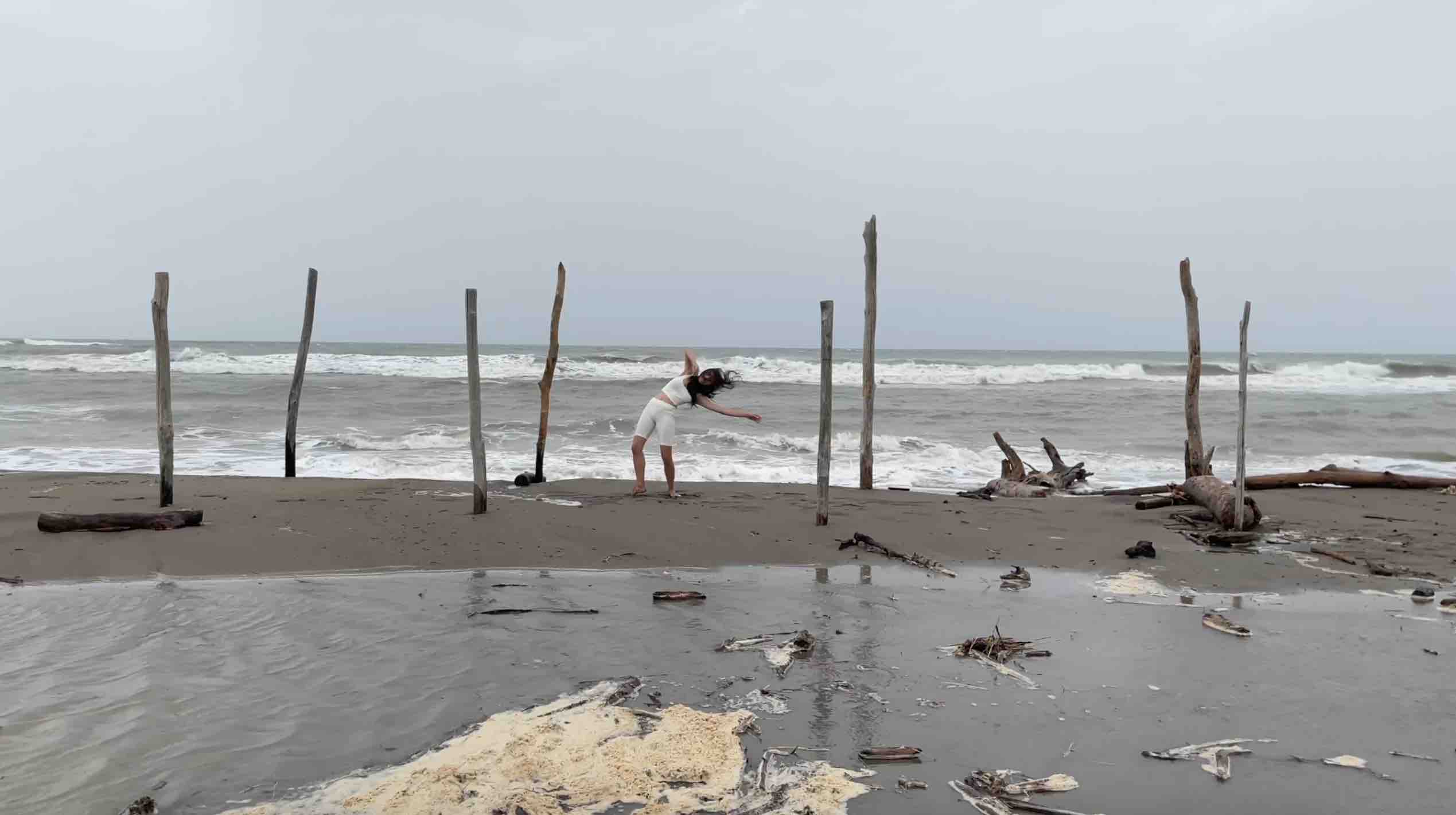 Appunti per una coreografia documentaria